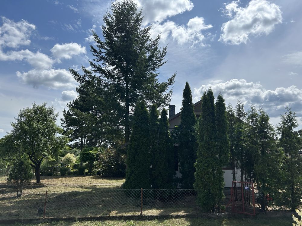 Działka rod Toruń Rudak. Zdjęcie 7