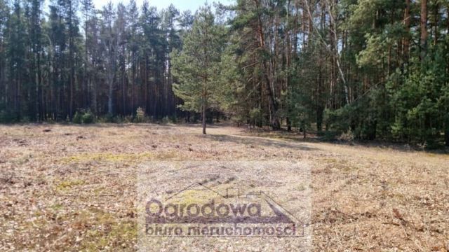 Działka budowlana Kąty. Zdjęcie 3