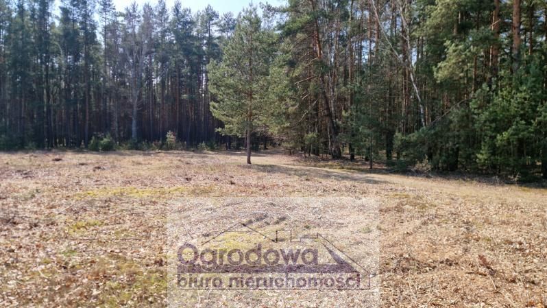 Działka budowlana Kąty. Zdjęcie 3
