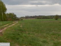 Działka Guty. Zdjęcie 3