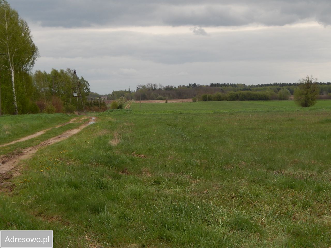 Działka Guty. Zdjęcie 4