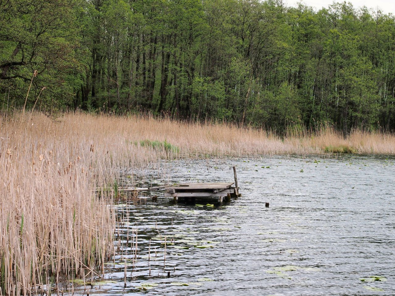 Działka rolna Swobodna. Zdjęcie 10