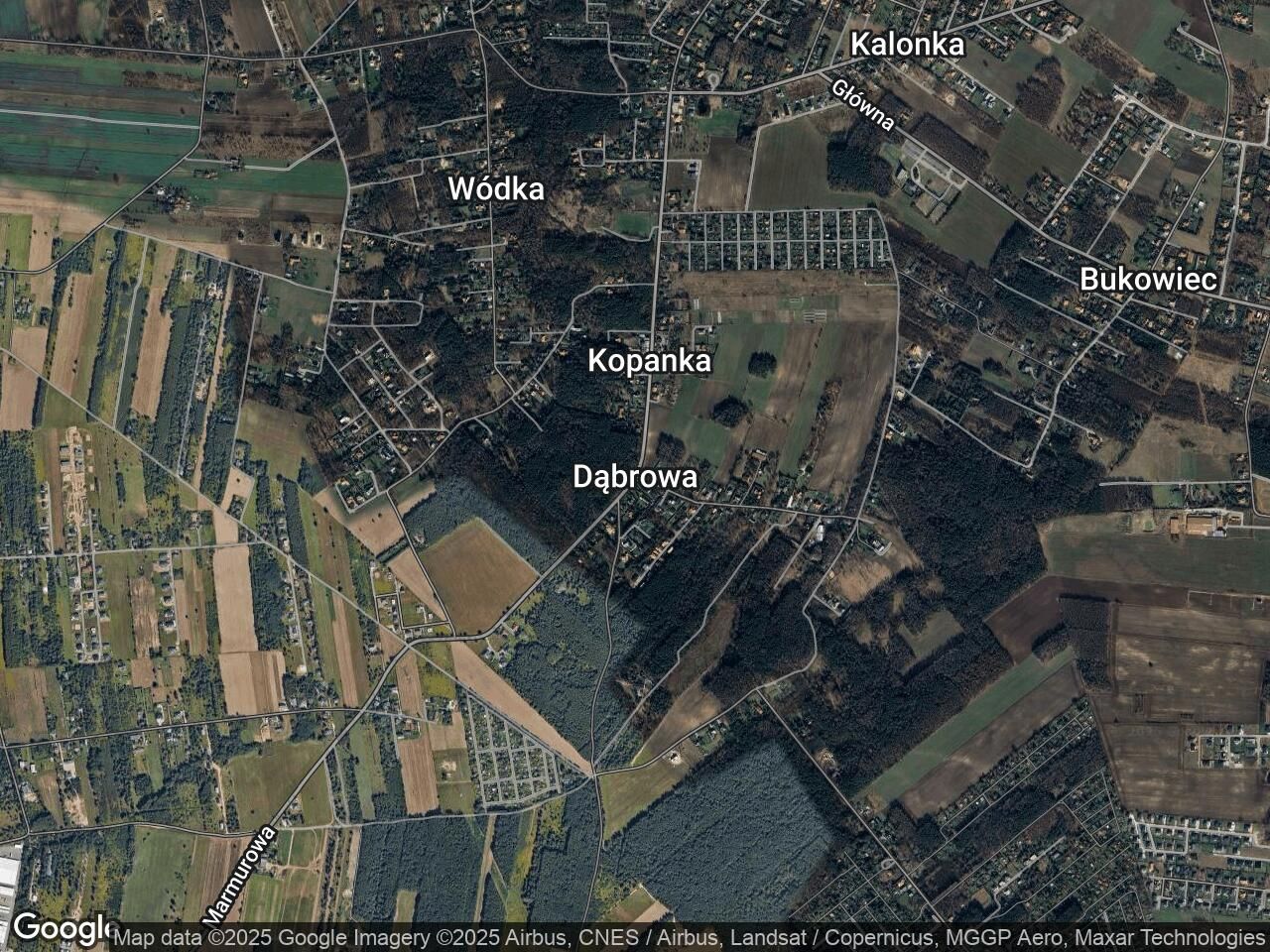 dom wolnostojący Dąbrowa