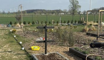 Działka budowlana Koskowice