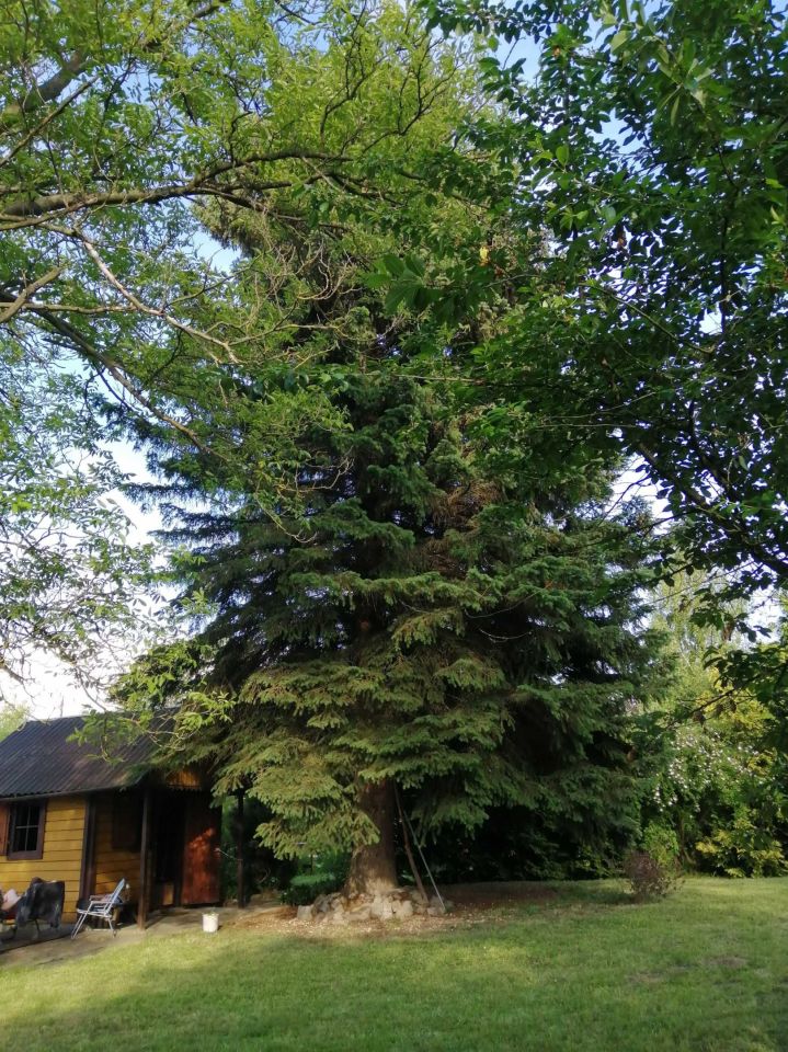 Działka rod Rzeszów, ul. Ciepłownicza. Zdjęcie 4