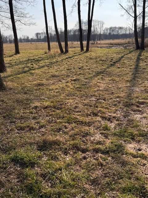 Działka rekreacyjna Sowia Wola. Zdjęcie 4