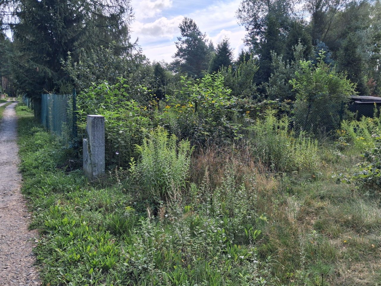 Działka rekreacyjna Strachów, ul. Klonowa. Zdjęcie 2