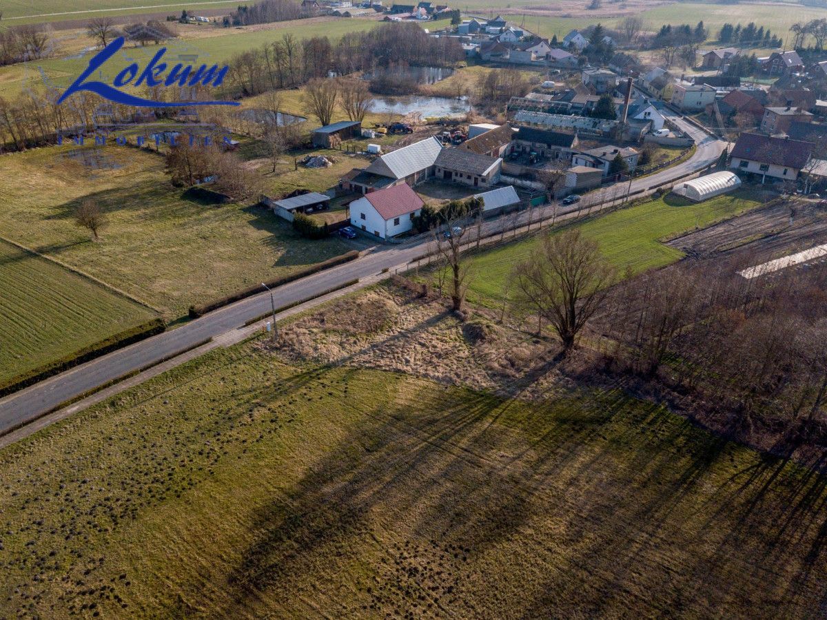 Działka budowlana Boszkowo. Zdjęcie 6