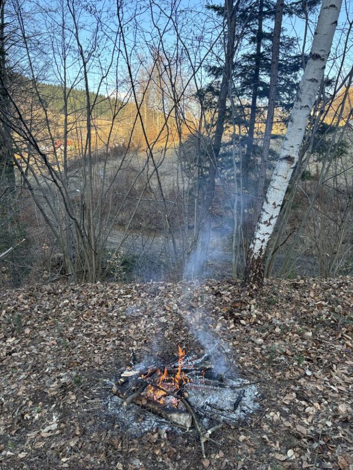 Działka leśna Juszczyna. Zdjęcie 6