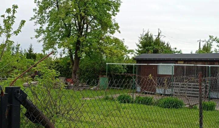 Działka rod Ciechanów