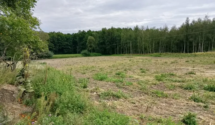 Działka budowlana Powidz Ługi