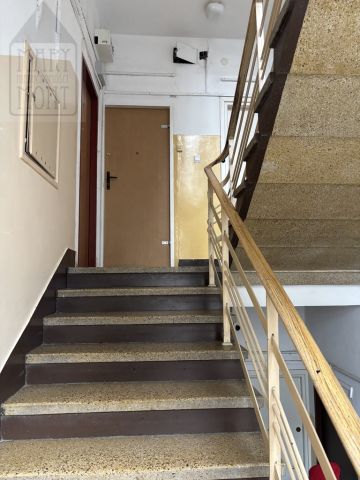 Mieszkanie 2-pokojowe Warszawa Praga-Północ, ul. Józefa Szanajcy. Zdjęcie 15