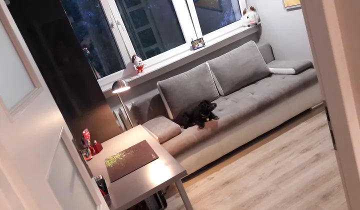 Mieszkanie 4-pokojowe Wrocław Popowice, ul. Białowieska