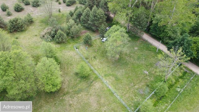 Działka rekreacyjna Ostrykół Dworski, ul. Sosnowa. Zdjęcie 1