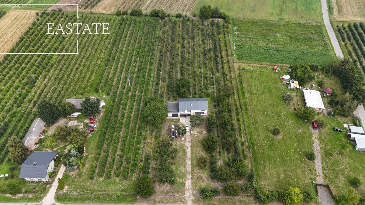 Działka rolna Świdno. Zdjęcie 4