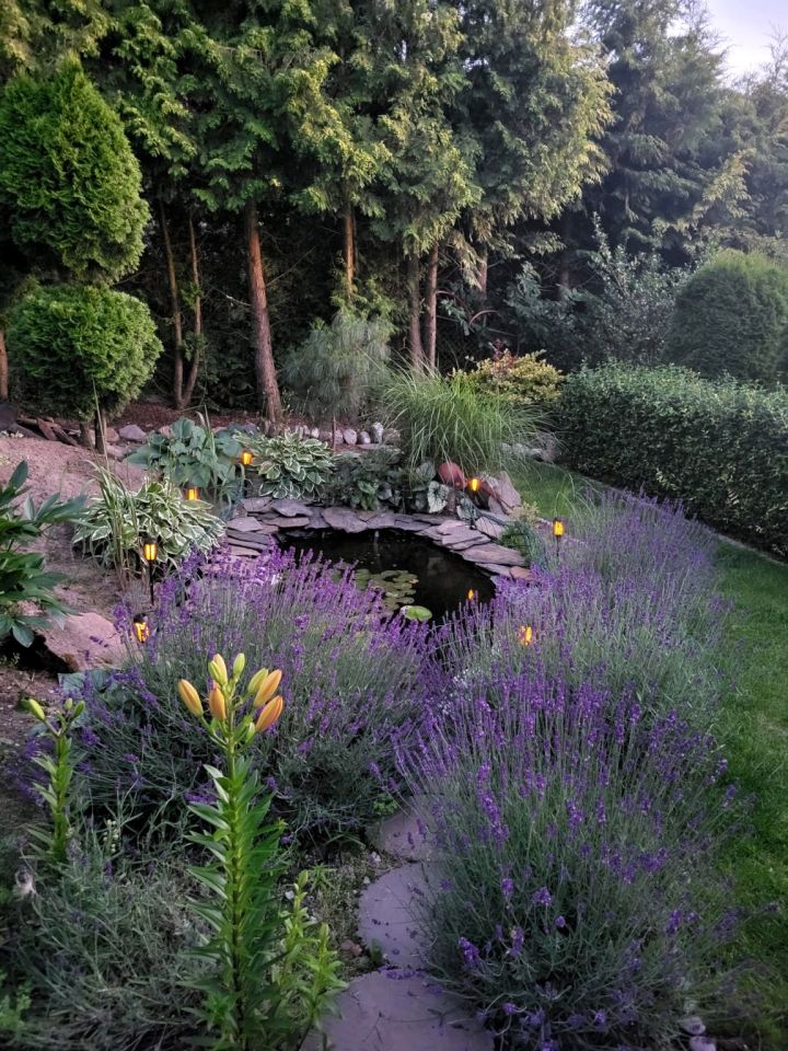 Działka rod Wierzchucinek. Zdjęcie 11