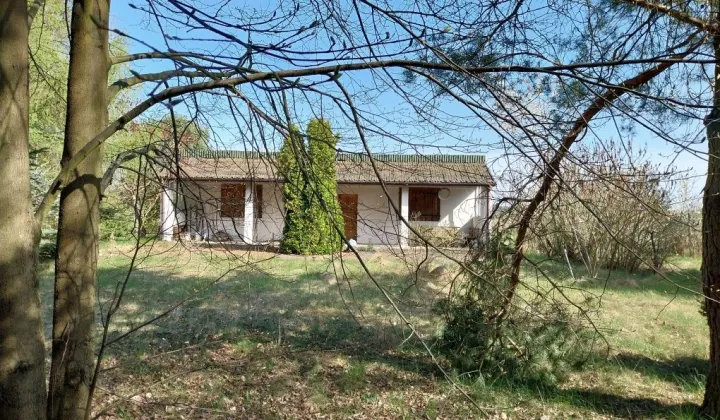 dom wolnostojący Łężki