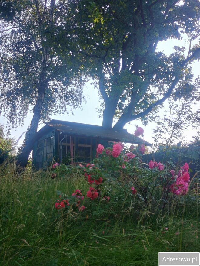 Działka na sprzedaż bez pośredników Czechowice-Dziedzice