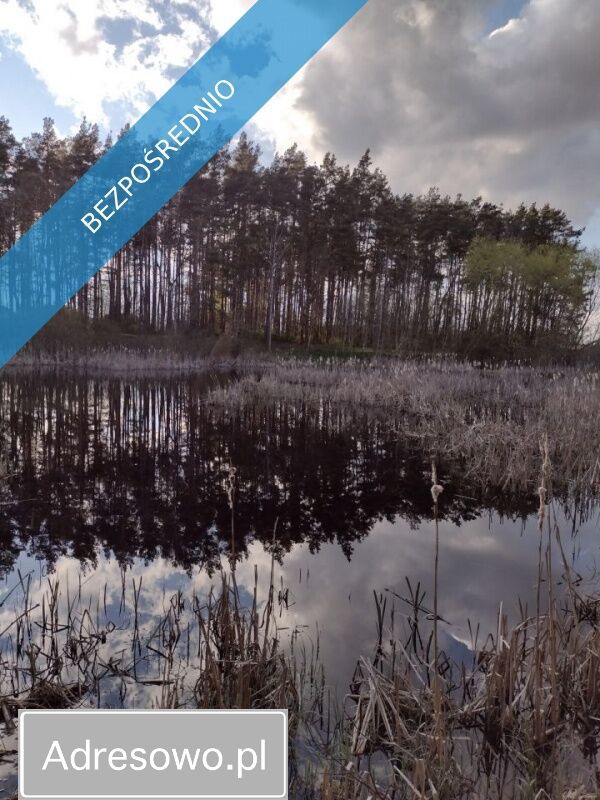 Działka budowlana Łąg, ul. Dworcowa. Zdjęcie 4