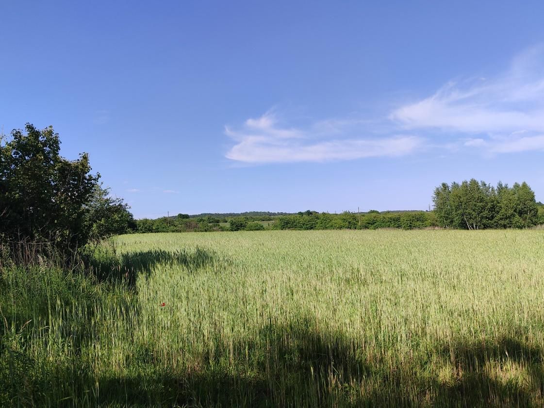Działka rolno-budowlana Luszowice Brzezinki, ul. Xawerego Dunikowskiego. Zdjęcie 4