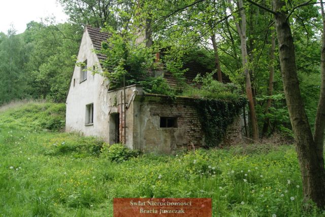 Działka budowlana Romanów. Zdjęcie 2