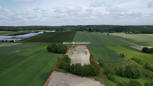 Działka rolna Prandocin-Iły. Zdjęcie 9