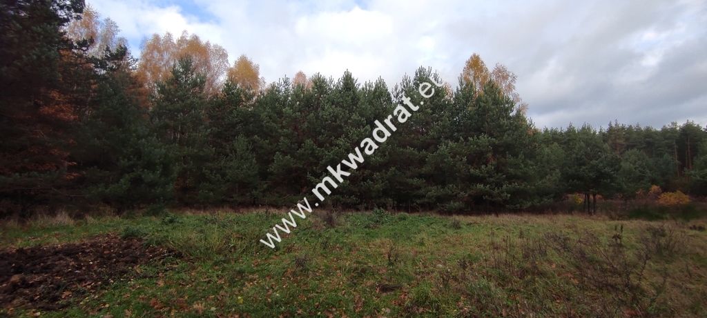 Działka budowlana Tłumy. Zdjęcie 9