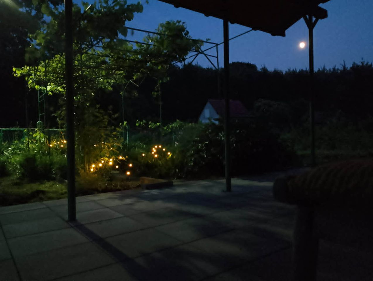 Działka rod Tarnobrzeg Nadole, ul. Wałowa. Zdjęcie 9