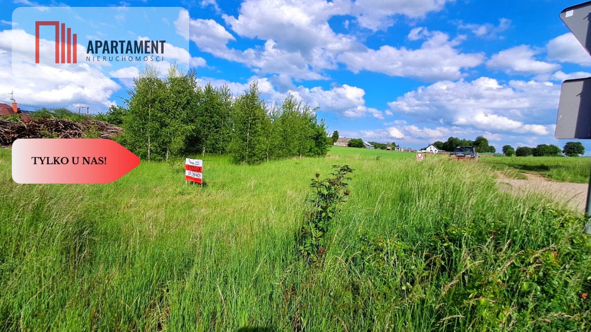 Działka budowlana Liniewo, ul. Topolowa. Zdjęcie 7
