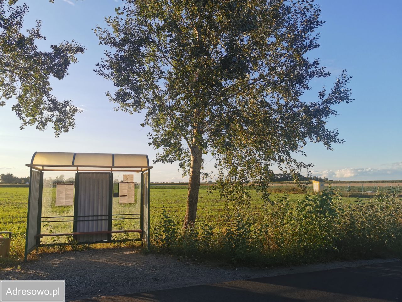 Działka inwestycyjna Wełnica. Zdjęcie 3