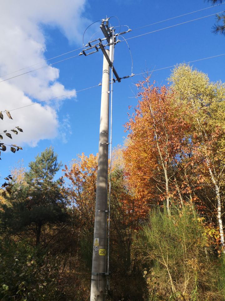 Działka rolno-budowlana Proćwin, ul. Główna. Zdjęcie 2