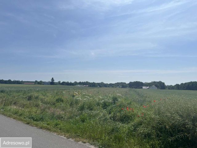 Działka budowlana Niedrzwica Duża, ul. Na Stawy. Zdjęcie 1
