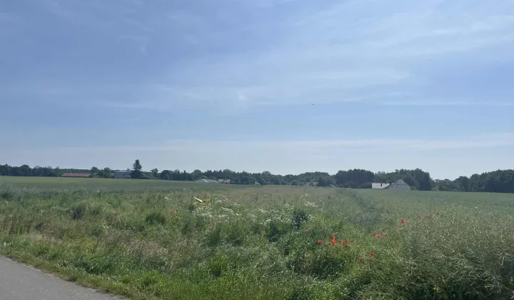 Działka budowlana Niedrzwica Duża, ul. Na Stawy