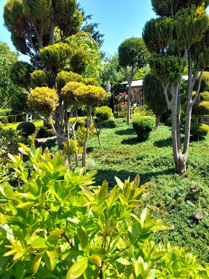 Działka rod Chodzież, ul. Zdrojowa. Zdjęcie 6