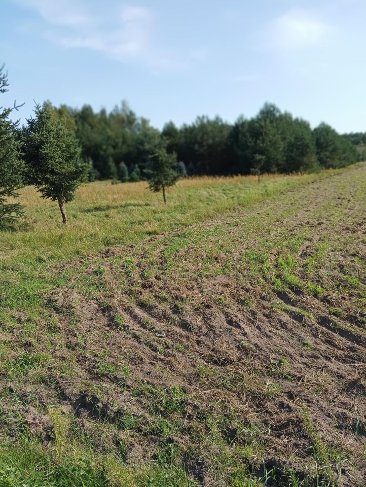 Działka rolno-budowlana Kowalewice, 42. Zdjęcie 9