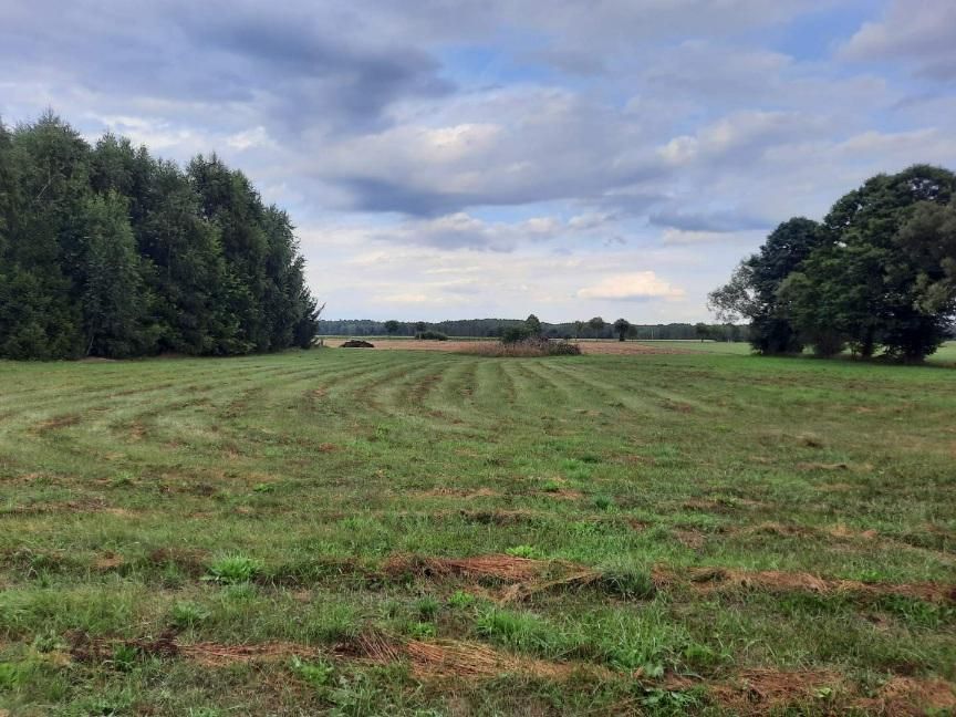 dom wolnostojący, 9 pokoi Glinki-Rafały. Zdjęcie 10