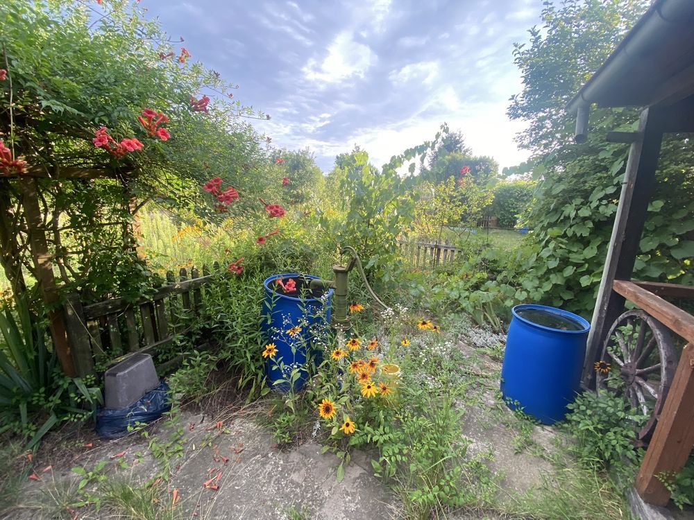 Działka rod Wrocław Muchobór Mały, ul. Francuska. Zdjęcie 7