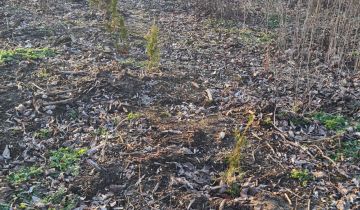 Działka budowlana Góra Bałdrzychowska-Kolonia