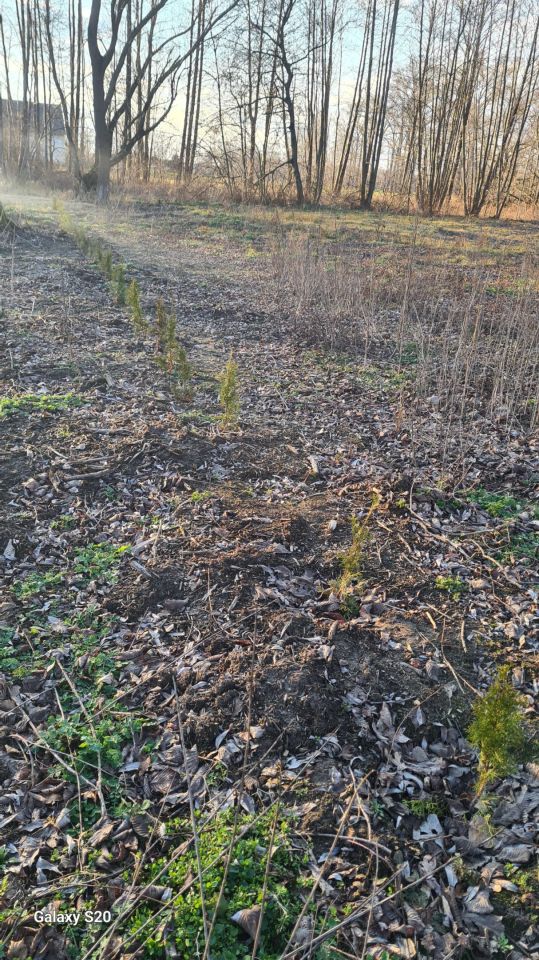 Działka budowlana Góra Bałdrzychowska-Kolonia. Zdjęcie 2