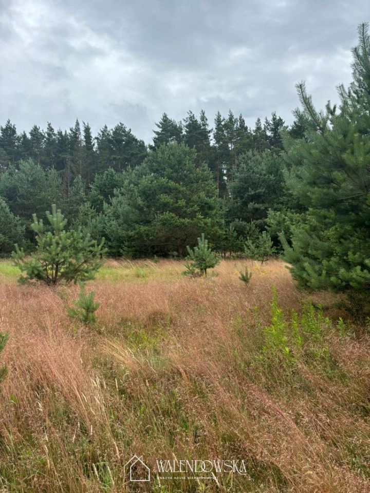 Działka inwestycyjna Smołdzino. Zdjęcie 3