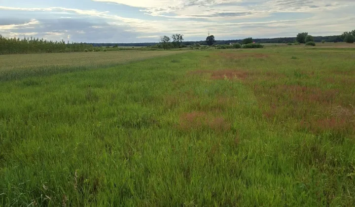 Działka rolna Breń