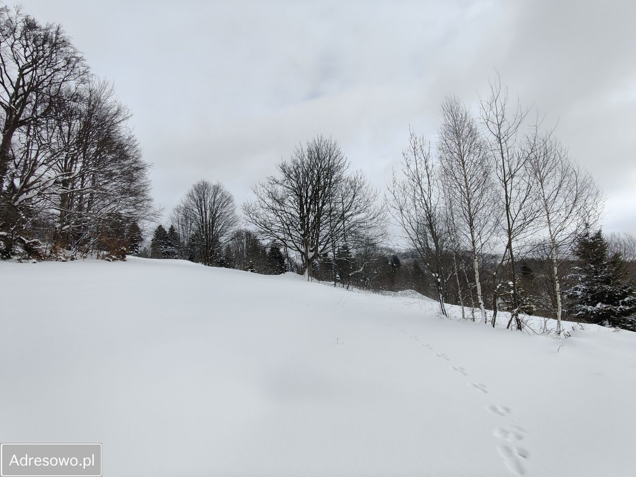 Działka rekreacyjna Zwardoń. Zdjęcie 12