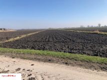 Działka budowlana Radzików. Zdjęcie 4