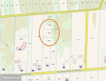 Działka inna Mogilno Duże. Zdjęcie 3