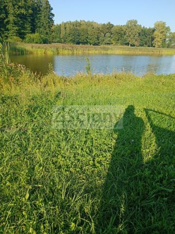 Działka siedliskowa Osuchów. Zdjęcie 26
