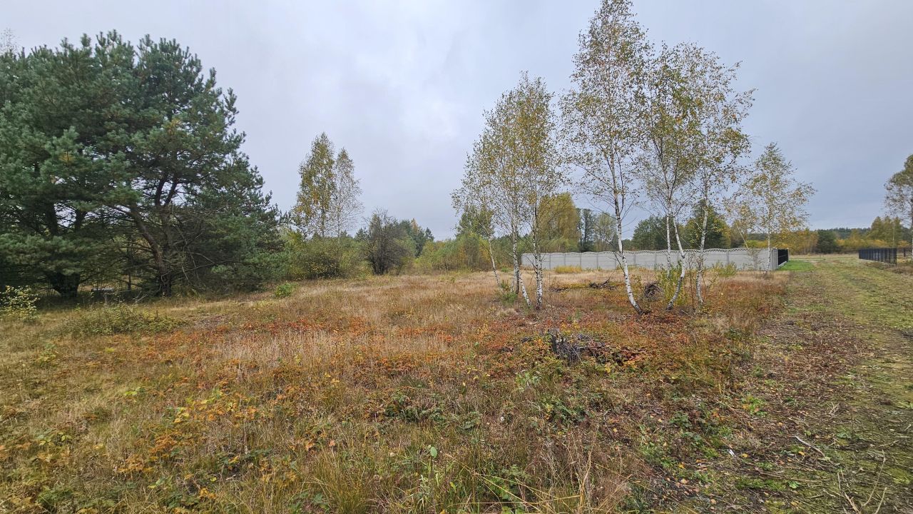 Działka budowlana Basinów, ul. Stołeczna. Zdjęcie 3