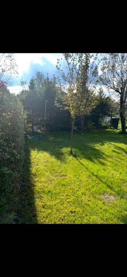 Działka rod Rębiechowo. Zdjęcie 5