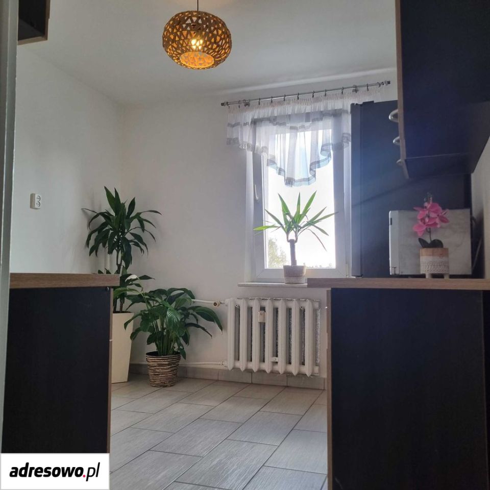 Mieszkanie 2-pokojowe Sosnowiec Dańdówka, ul. Kalinowa. Zdjęcie 8