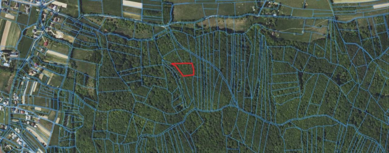 Działka leśna Łężyny. Zdjęcie 2