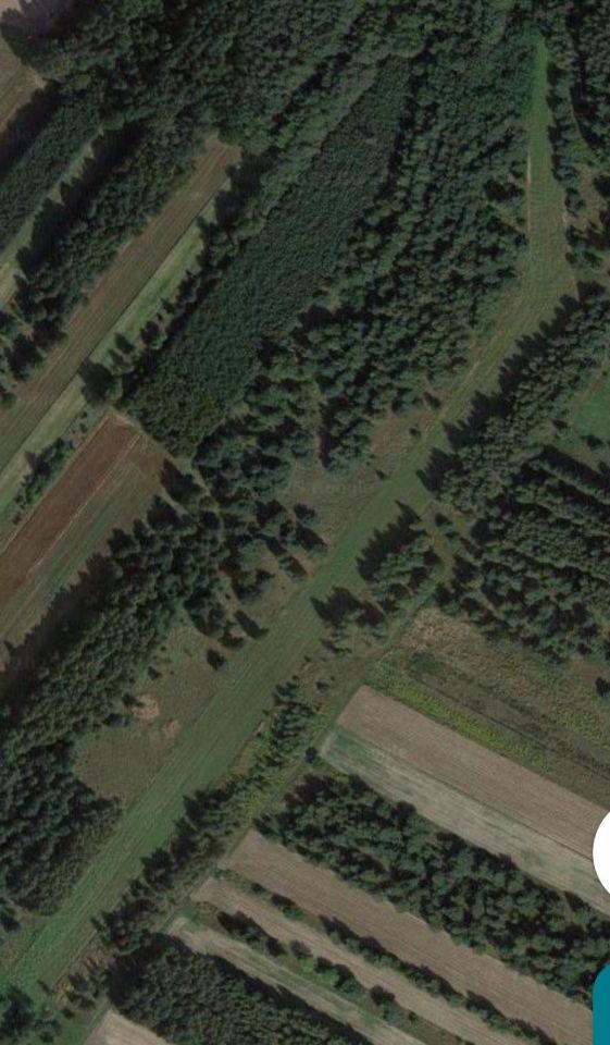 Działka rolna Wola Wiewiecka. Zdjęcie 3